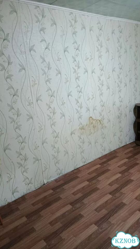 2-к. квартира, 39,9 м², 2/2 эт. фото 5