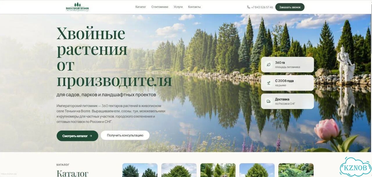 Сделать сайт под ключ фото 4