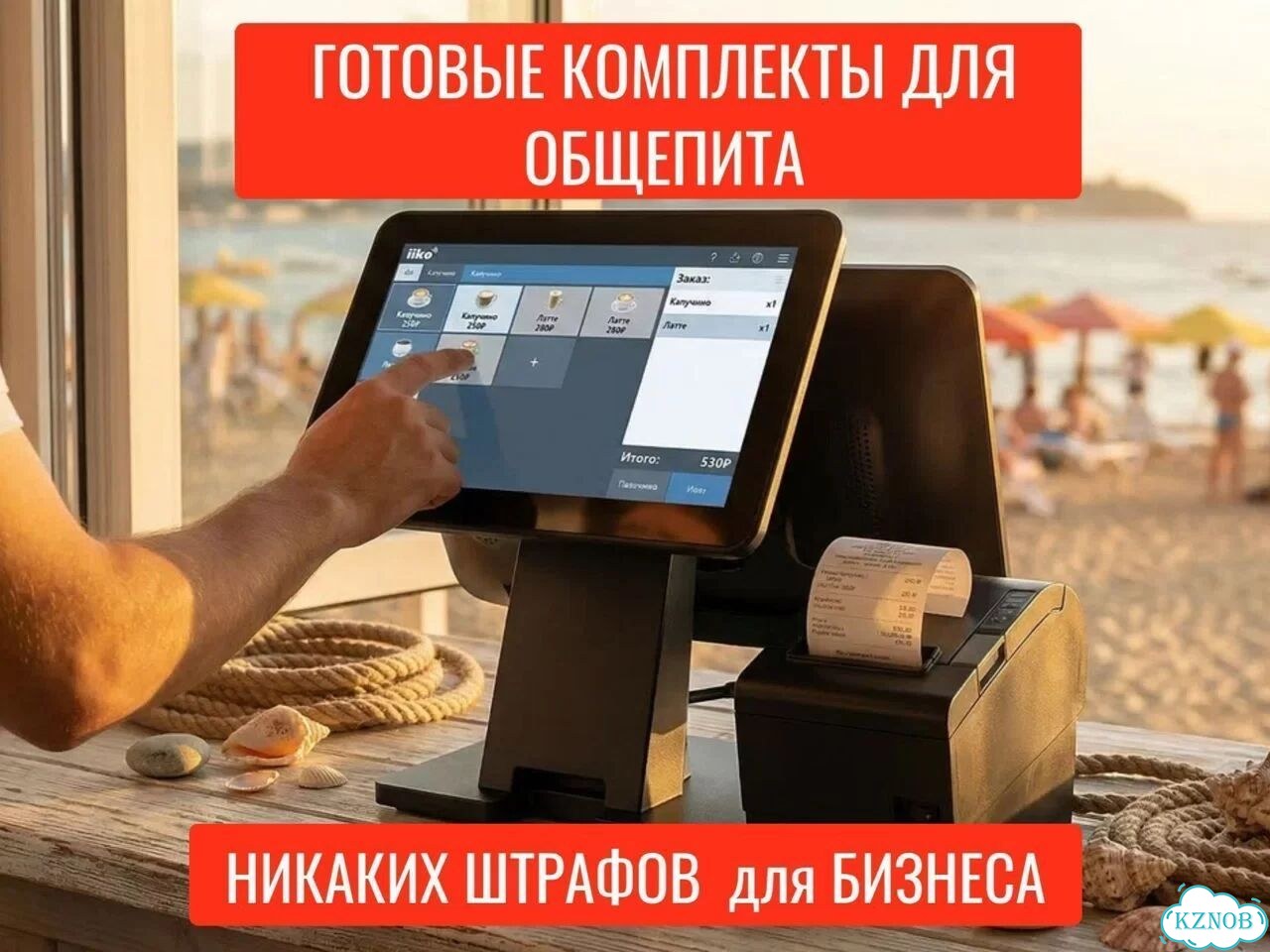 Iiko + комплект оборудования к началу сезона фото 1