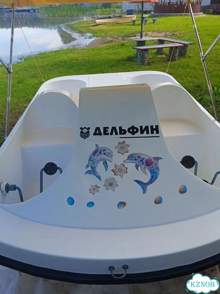 Катамаран дельфин фото 10