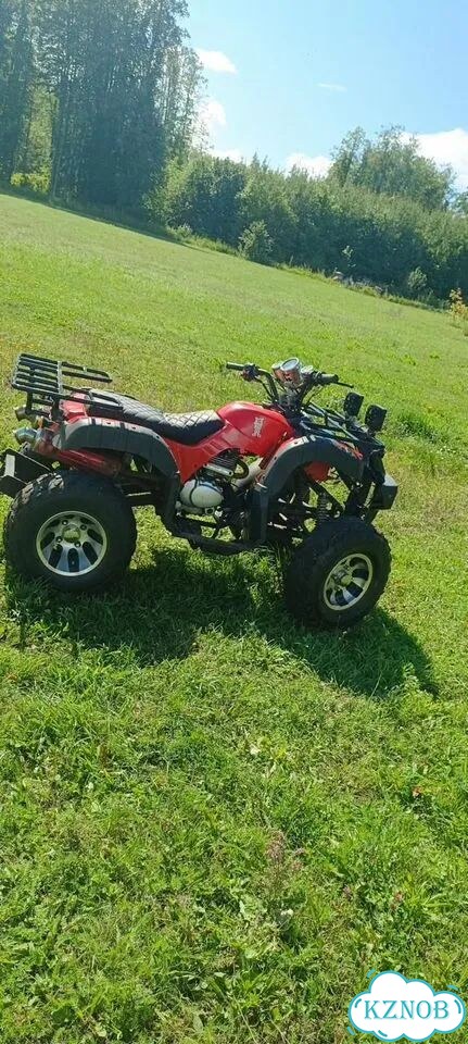 Honda TRX420, 2002, 800 км фото 1