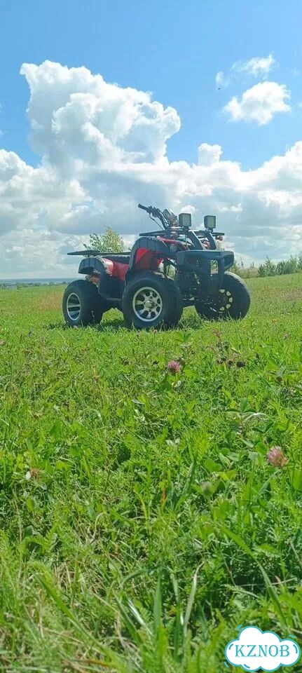 Honda TRX420, 2002, 800 км фото 2