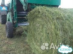 Продается сено люцерна, костёр в рулонах фото 1