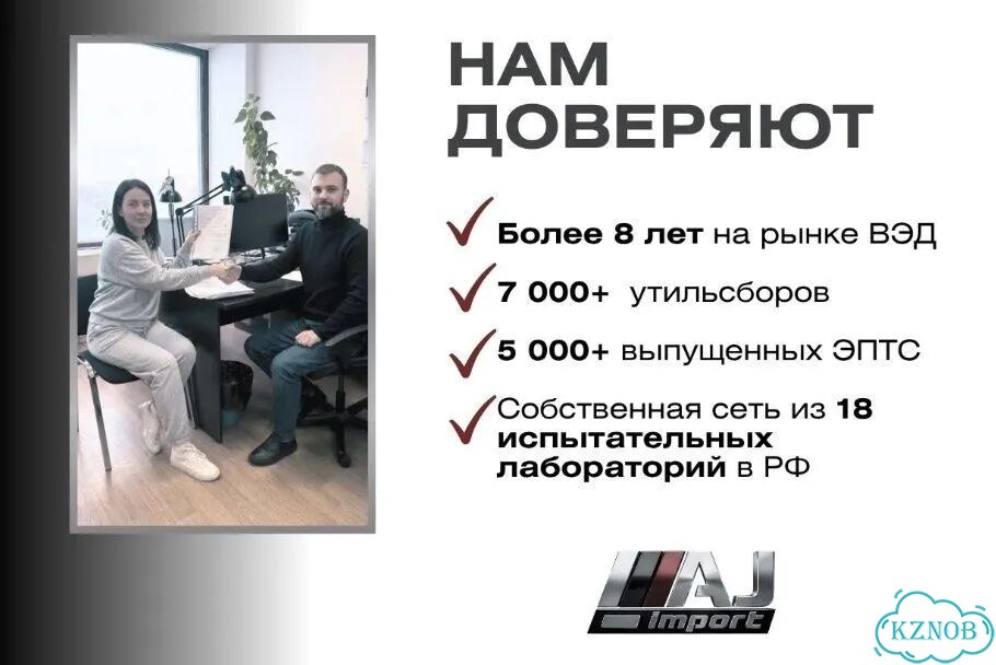 Растаможка авто / Оформление ЭПТС СБКТС фото 8