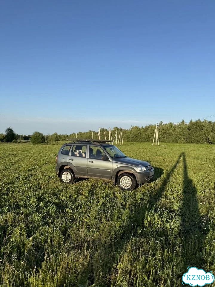 Chevrolet Niva 1.7 MT, 2014, 133 500 км фото 5