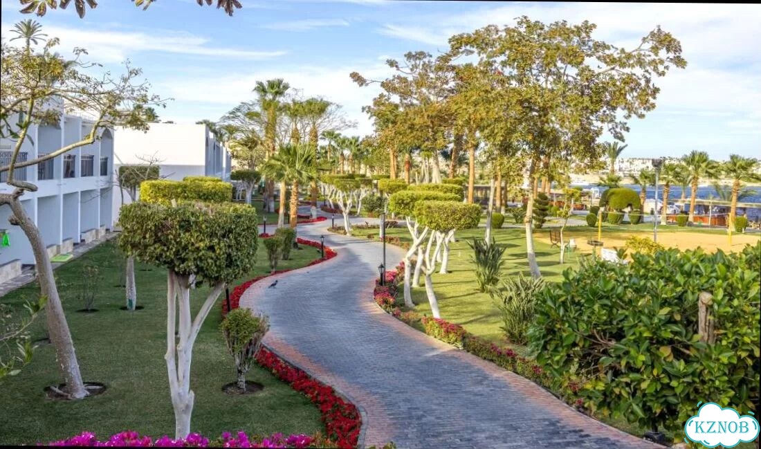 Путевка Египет Sultan Gardens R. 5* ультра все вкл фото 8