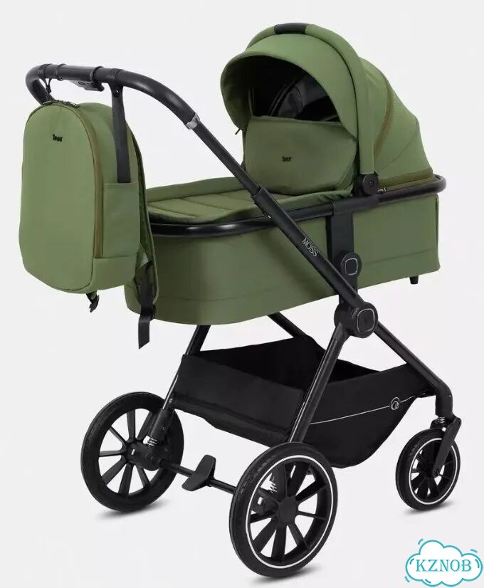 Коляска 2 в 1 Rant Moss Olive фото 1