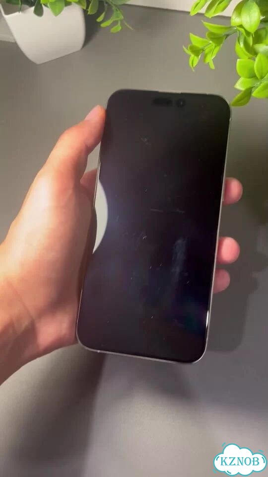 iPhone 15 Pro Max, 256 ГБ, SIM + eSIM фото 1