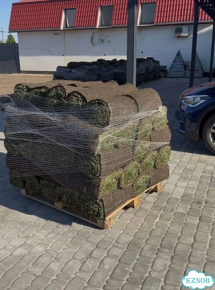Рулонный газон остатки фото 1