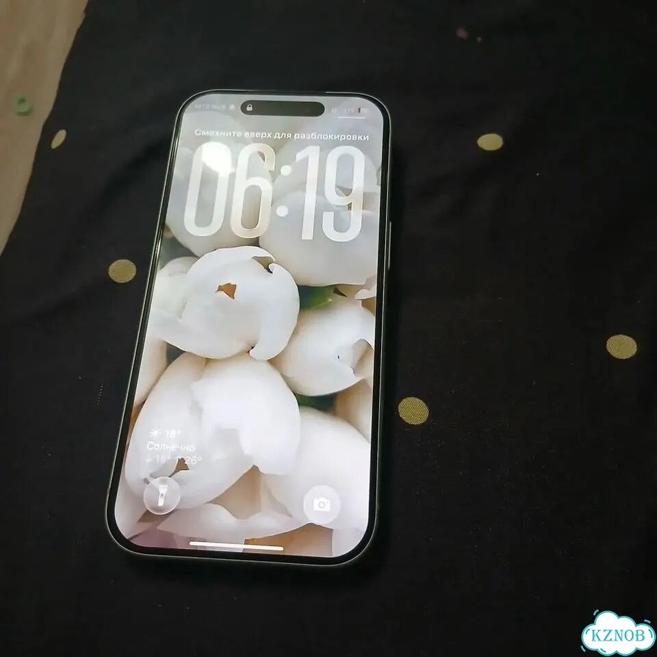 iPhone 17 Pro, 256 ГБ, SIM + eSIM фото 1