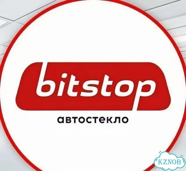 Лобовое стекло. Ремонт автостекол фото 2