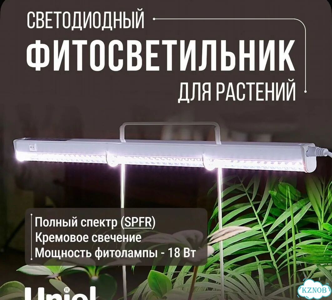 Стеллаж деревянный фото 5