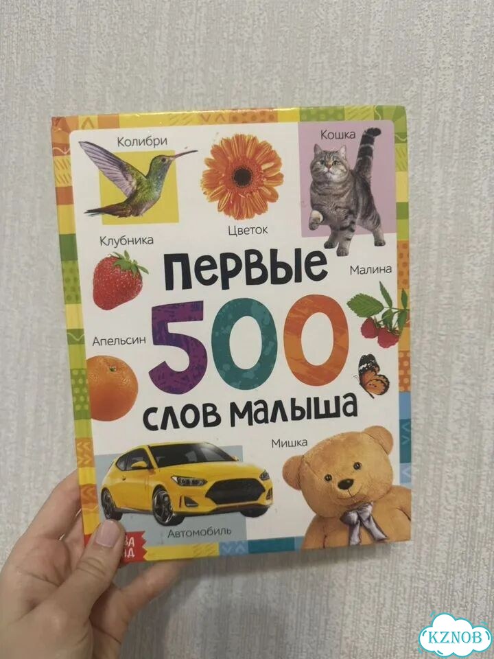 Первые 500 слов малыша Соколова Юлия Сергеевна фото 1