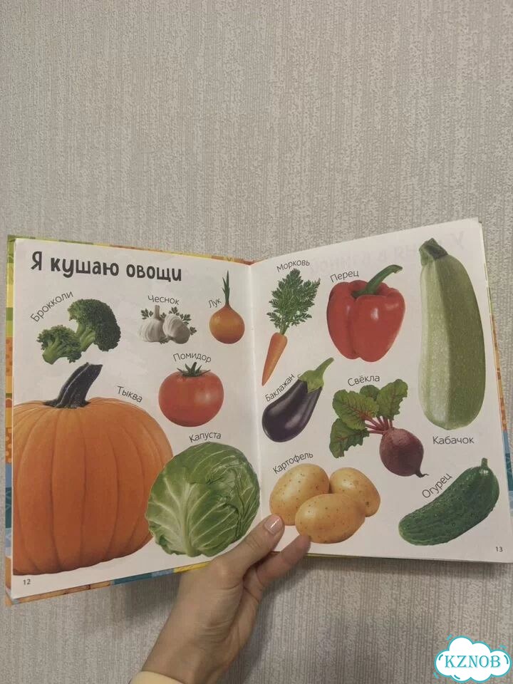 Первые 500 слов малыша Соколова Юлия Сергеевна фото 3
