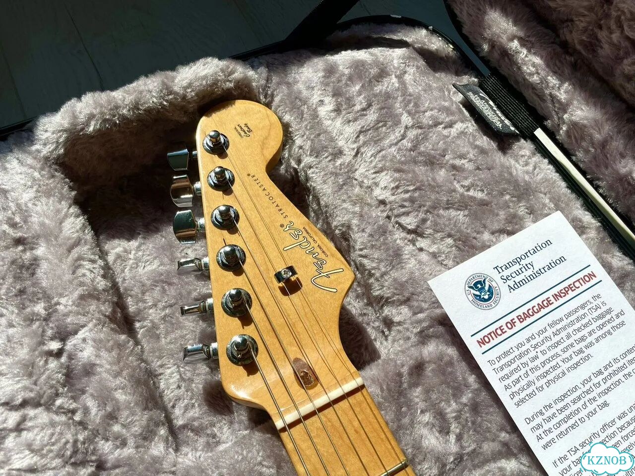 Fender Stratocaster American Professional II Miami фото 5