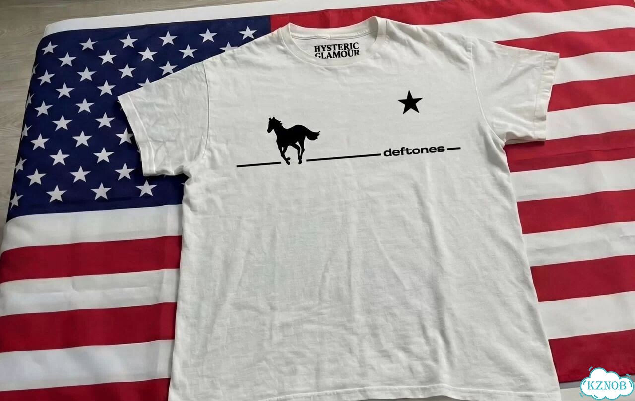 Футболка Hysteric Glamour x Deftones хайп 2026 фото 4