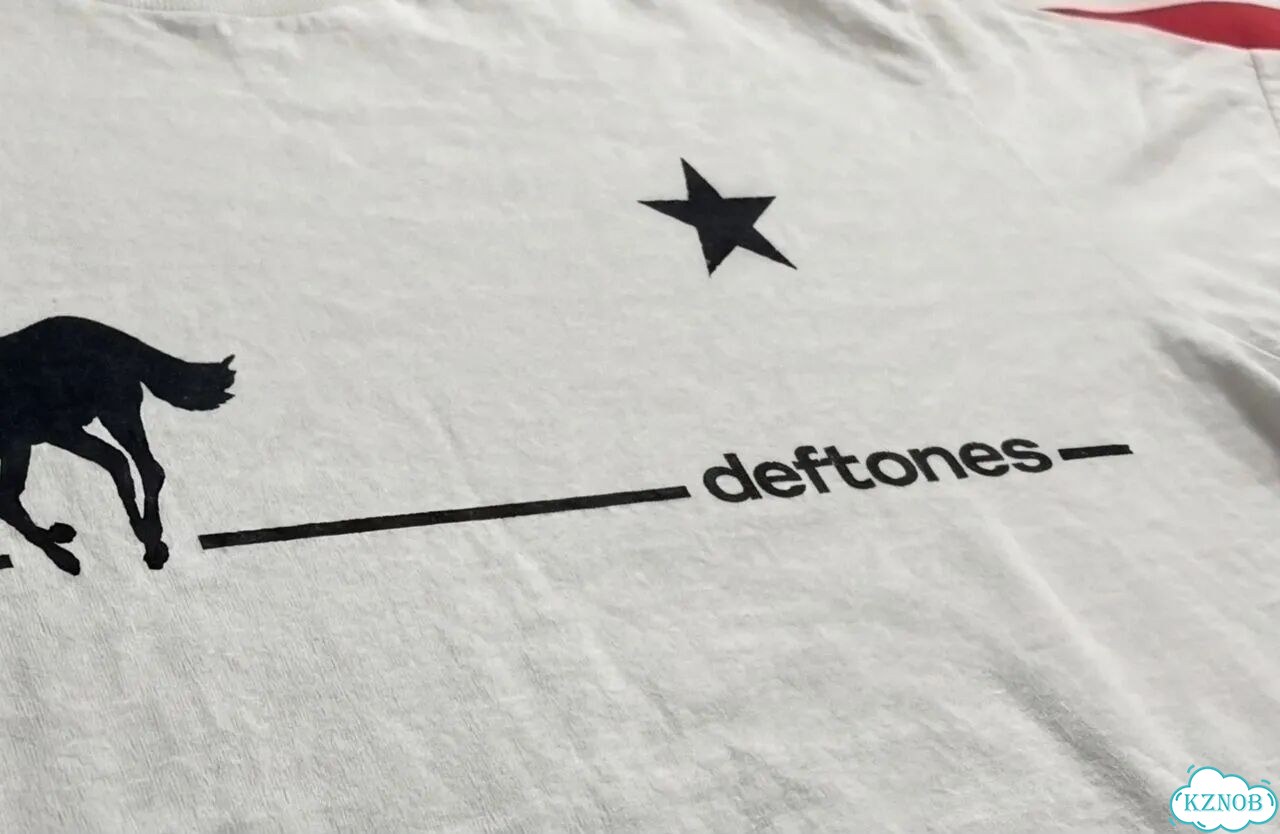 Футболка Hysteric Glamour x Deftones хайп 2026 фото 7