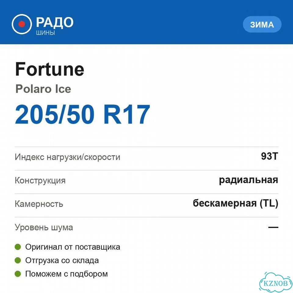 Fortune Polaro Ice 205/50 R17 93T фото 2