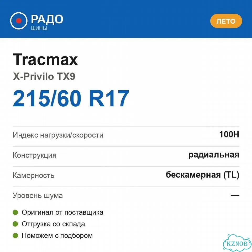 Tracmax X-Privilo TX9 215/60 R17 100H фото 2