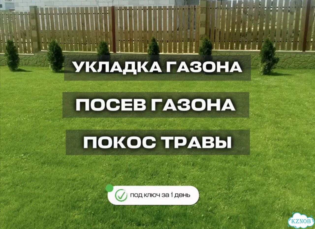 Посев газона/укладка газона/покос травы фото 1