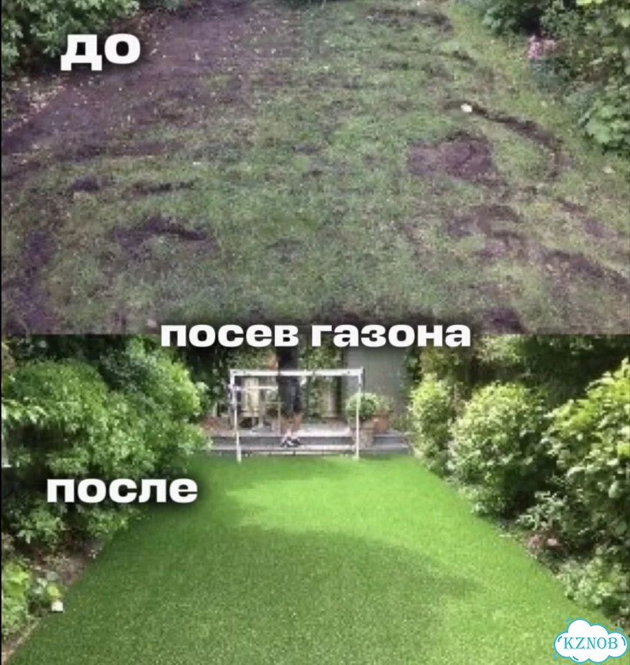 Посев газона/укладка газона/покос травы фото 3