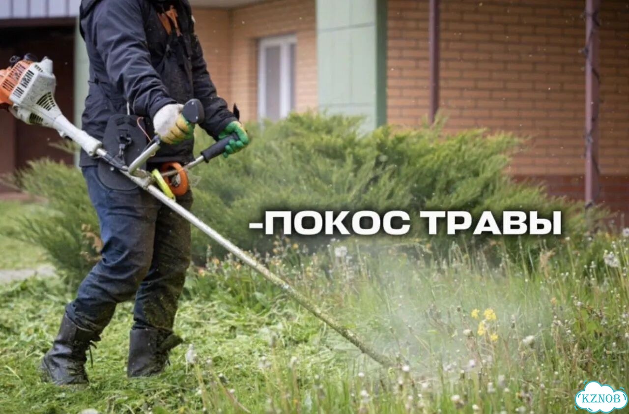 Посев газона/укладка газона/покос травы фото 5