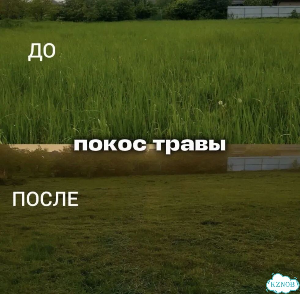 Посев газона/укладка газона/покос травы фото 6