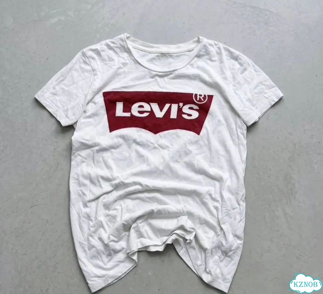 Футболка Levis Archive фото 1