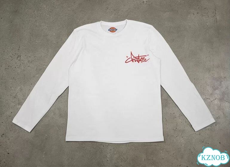 Лонгслив белый Dickies 10,000 needle embroidery craft DAC0223 streetwear vintage фото 2