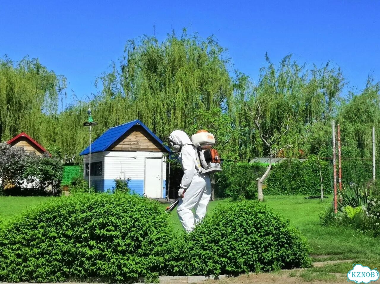 Муравьи комары мухи клещи обработка Безопасно фото 10