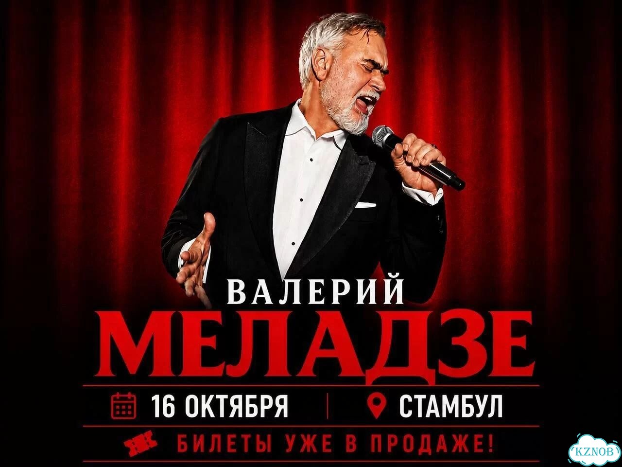Билеты на концерт Меладзе в Стамбуле фото 1