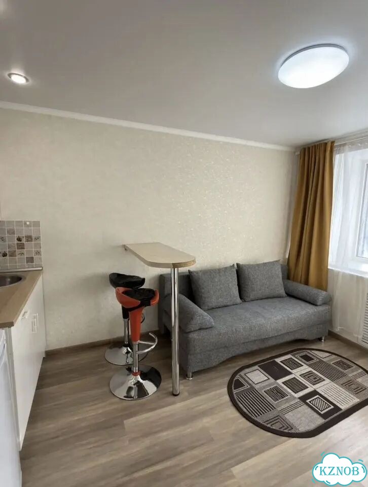 Квартира-студия, 20 м², 2/5 эт. фото 3