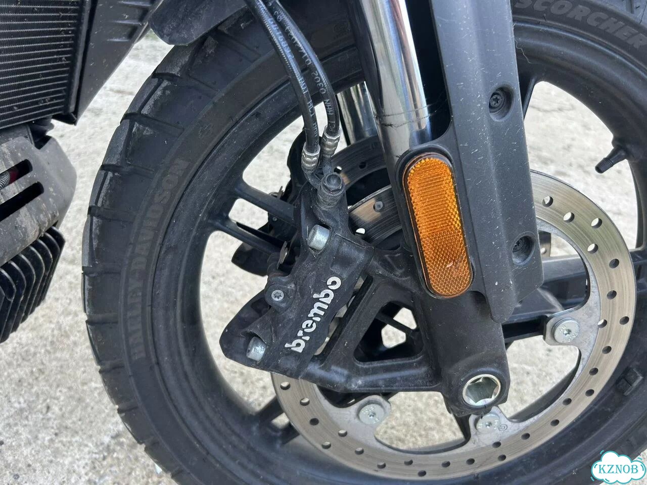 Harley-Davidson Pan America, 2021, 18 000 км фото 5