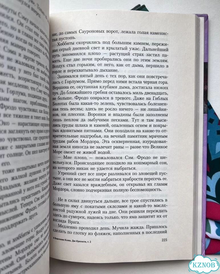 Властелин колец. Две крепости / Азбука (2002) фото 5