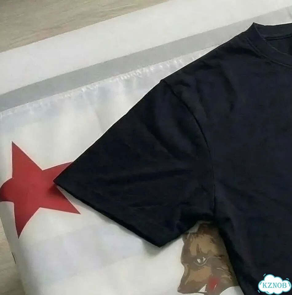 Черная Футболка RAF Simons restricted новинка фото 4