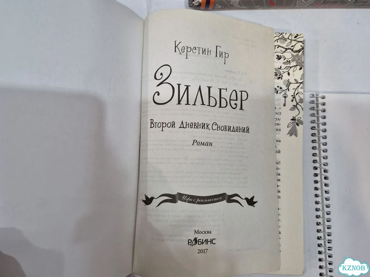 Зильбер трилогия Гир фото 6
