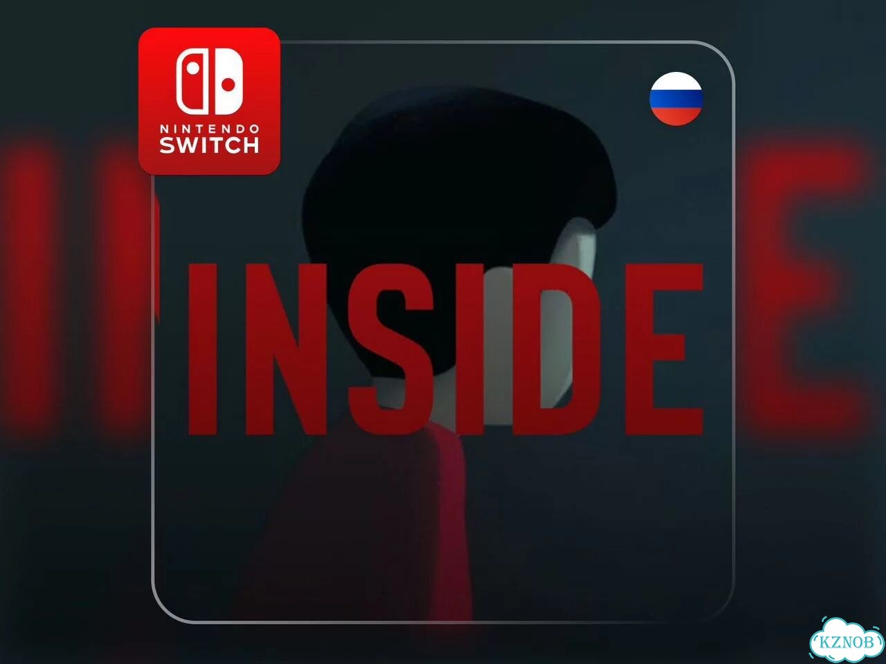 Inside Switch 1/2 фото 1