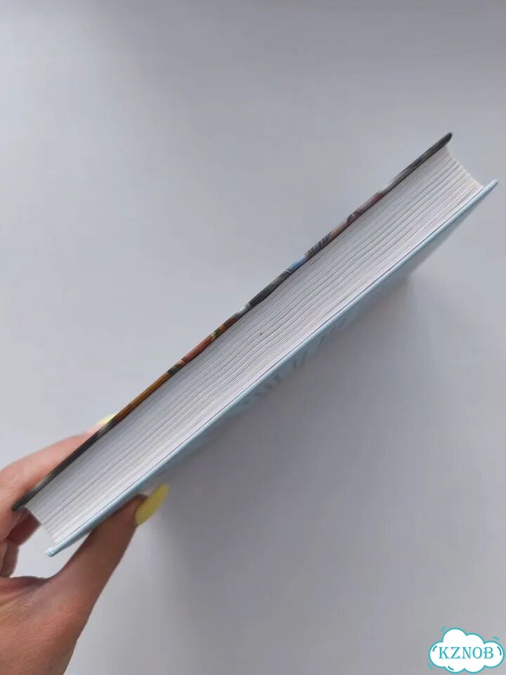 Книга «Пусть идет снег» фото 4