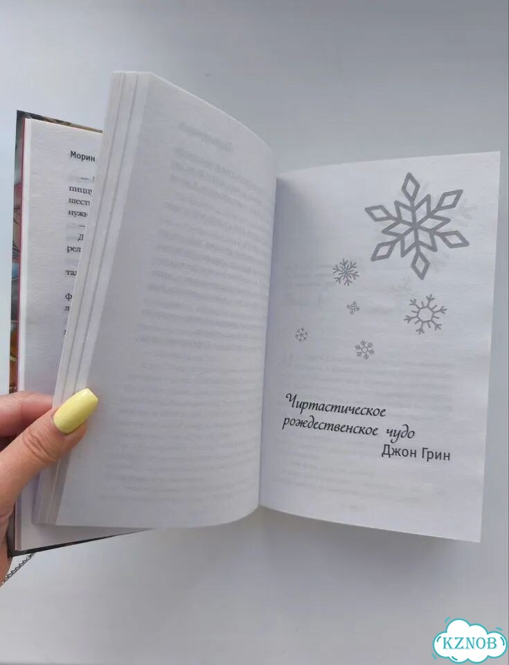 Книга «Пусть идет снег» фото 6