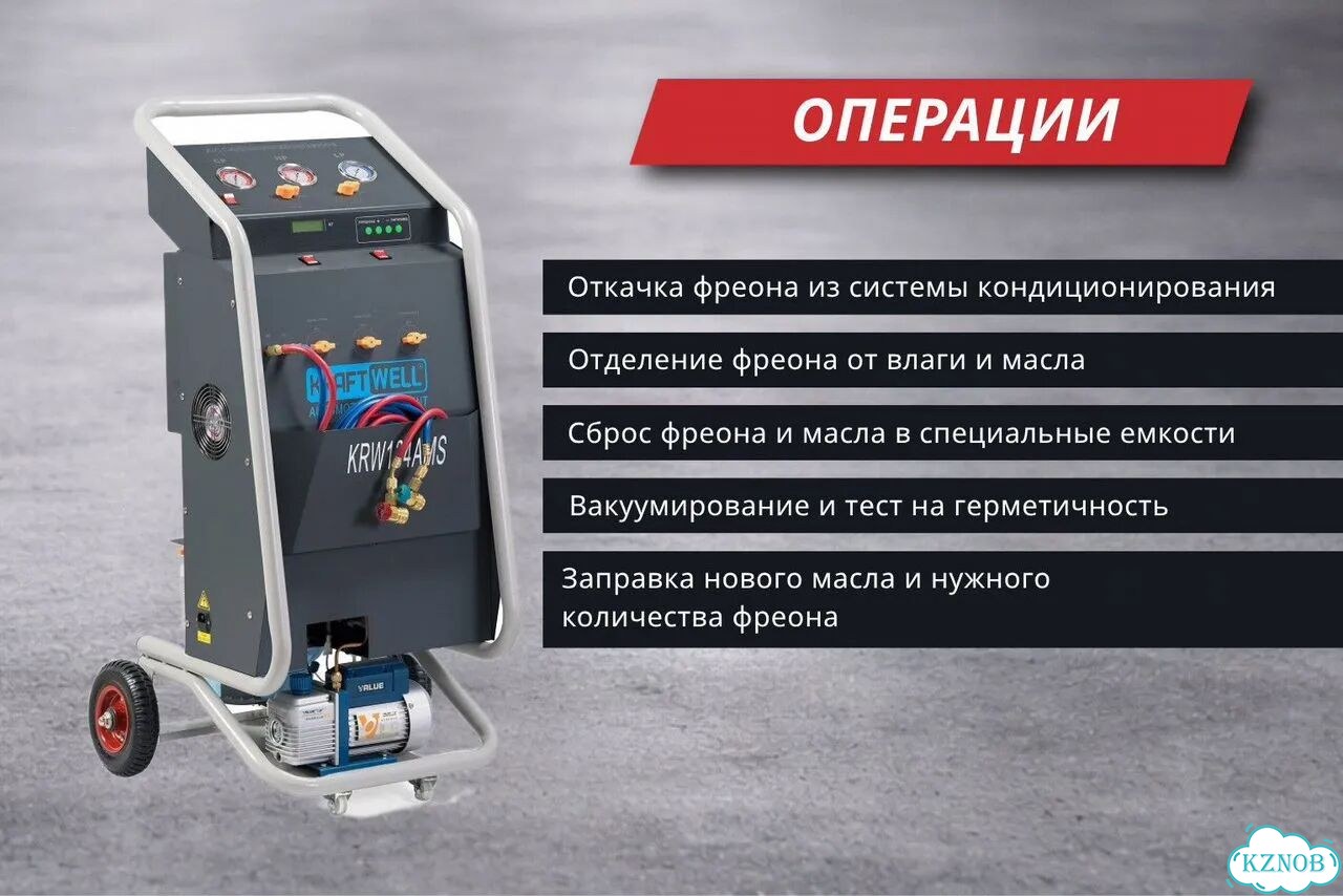 Картофель погребной на еду фото 3