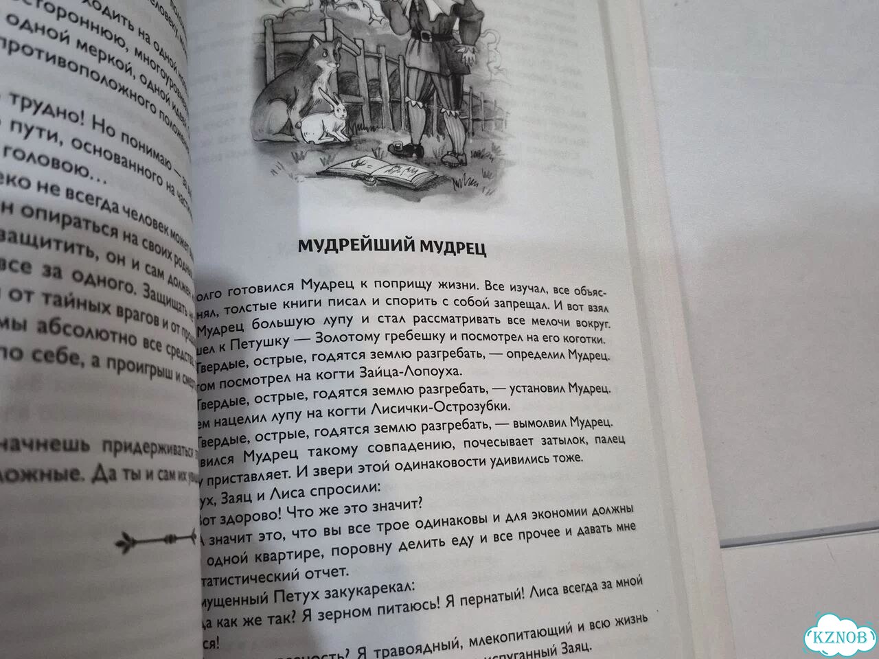 Берегини против упырей Надежда Борцова фото 4