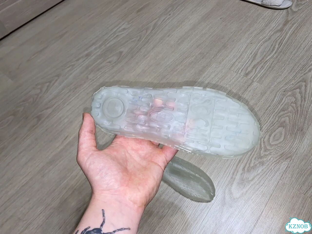 Аквасоки кораллки фото 2