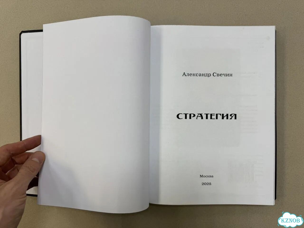 Домашний хорек фото 5