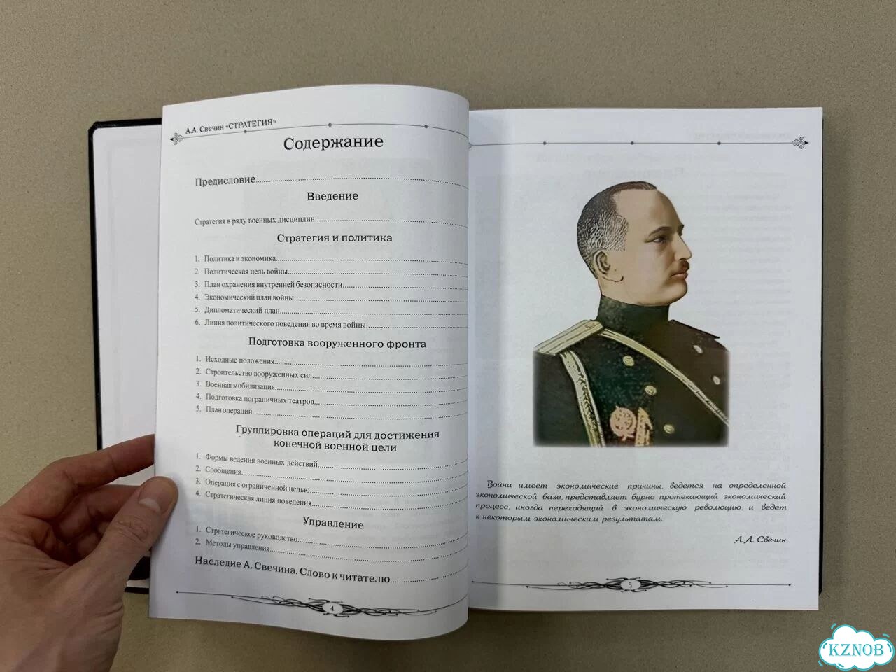 Домашний хорек фото 7
