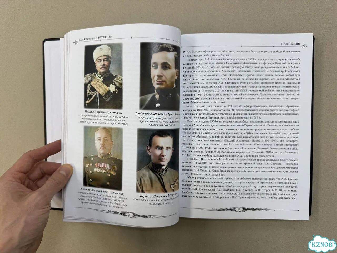 Домашний хорек фото 9