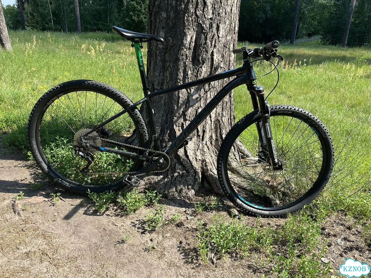 Велосипед Cannondale Trail 5 29'' фото 1