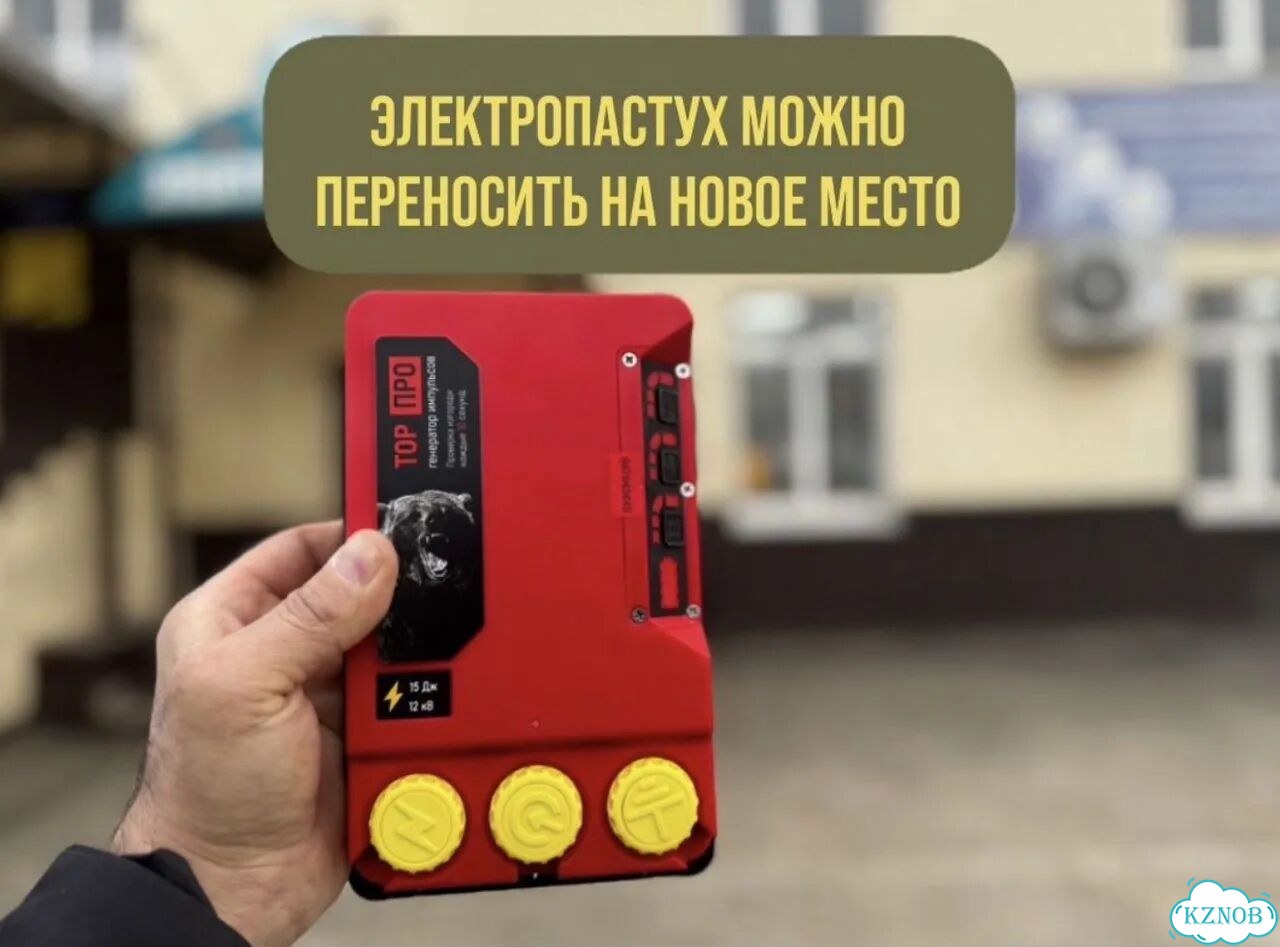 Электропастух, окупается за 1 сезон фото 4