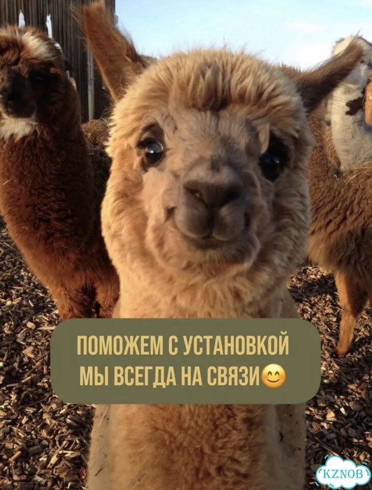 Электропастух, окупается за 1 сезон фото 6