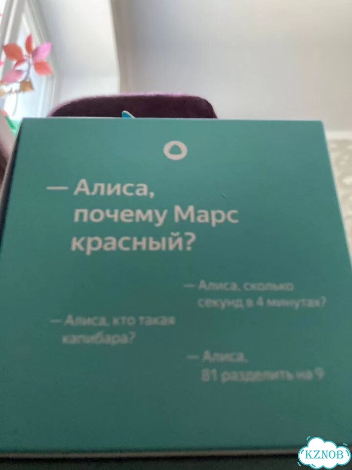 Колонка алиса лайт2 фото 3
