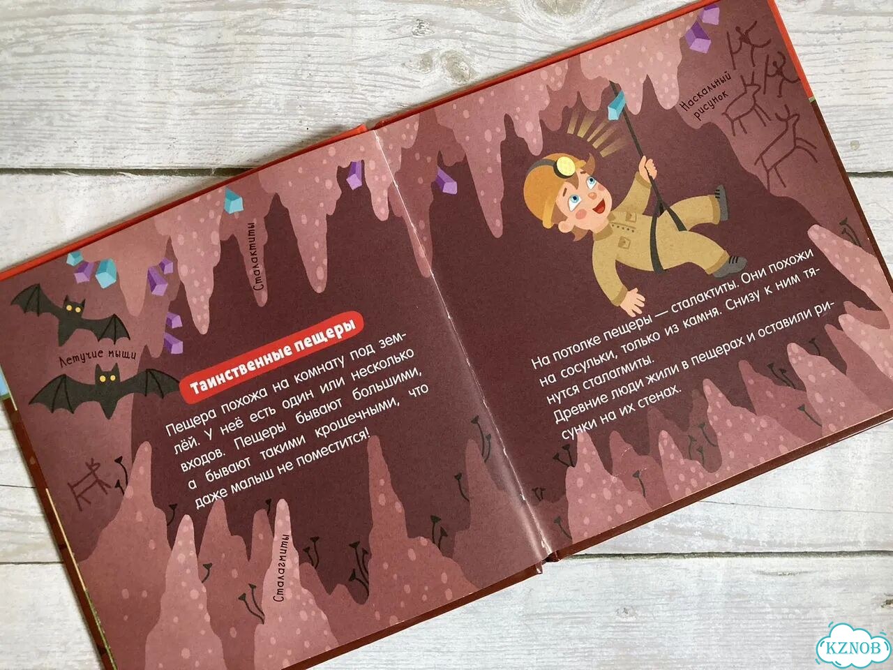 Книга Clever Наука для малышей фото 2